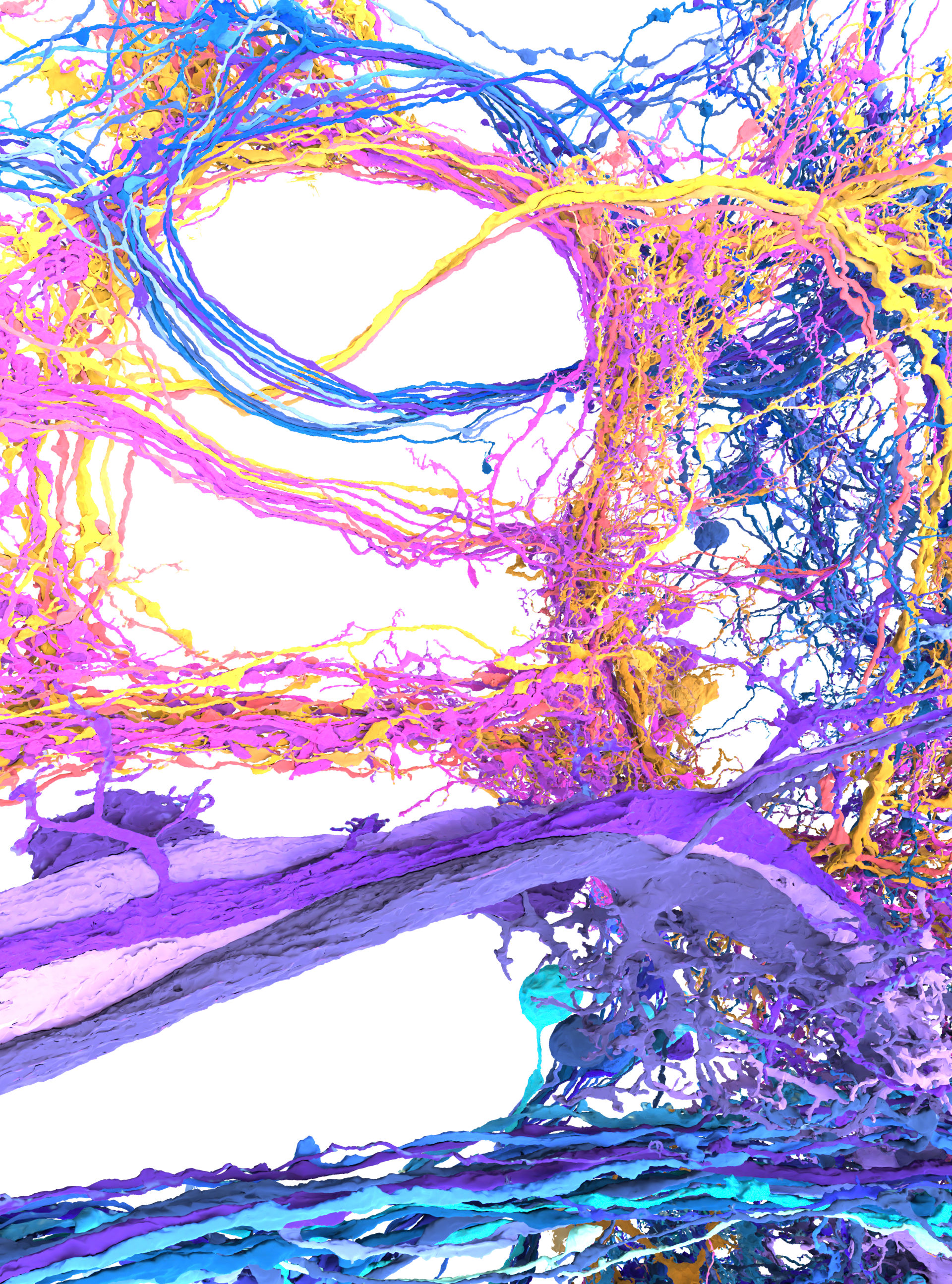 Swoopy loopy visualization